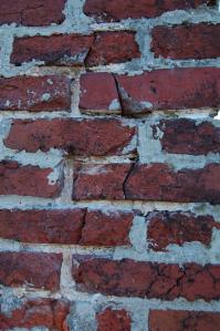 Showing the damage to historic brickwork done by tuck pointing with portland cement mortar.